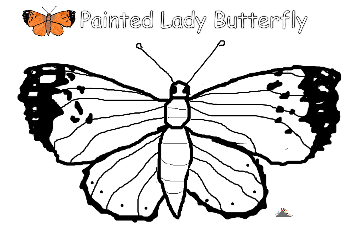 Butterfly coloring page